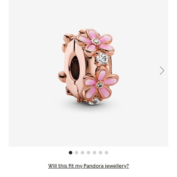 Pandora Rose Gold Fall Bracelet - Picture 7 of 8